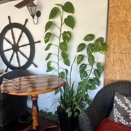 Cabo Tortuga Hotel Boutique-3